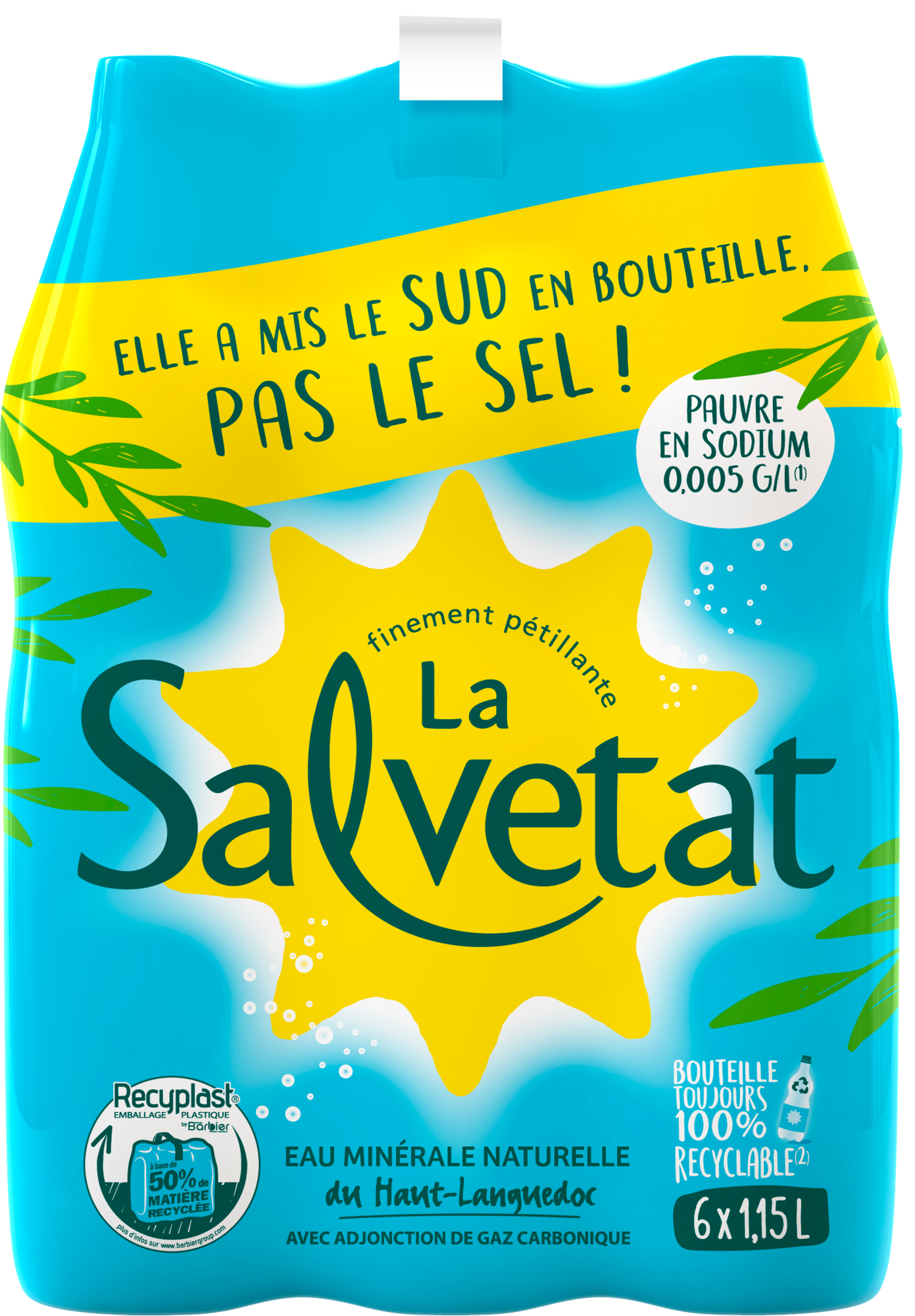 EAU MINÉRALE NATURELLE AVEC ADJONCTION DE GAZ CARBONIQUE