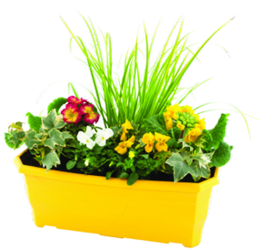 JARDINIÈRE