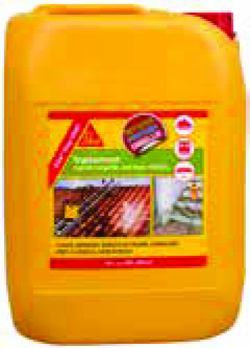 TRAITEMENT ALGICIDE-FONGICIDE ANTI TRACES VERTES (4)(5)