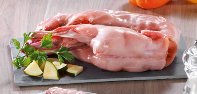 LAPIN ENTIER SOUS FOURREAU