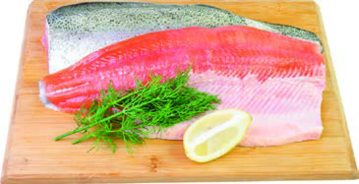 FILET DE TRUITE