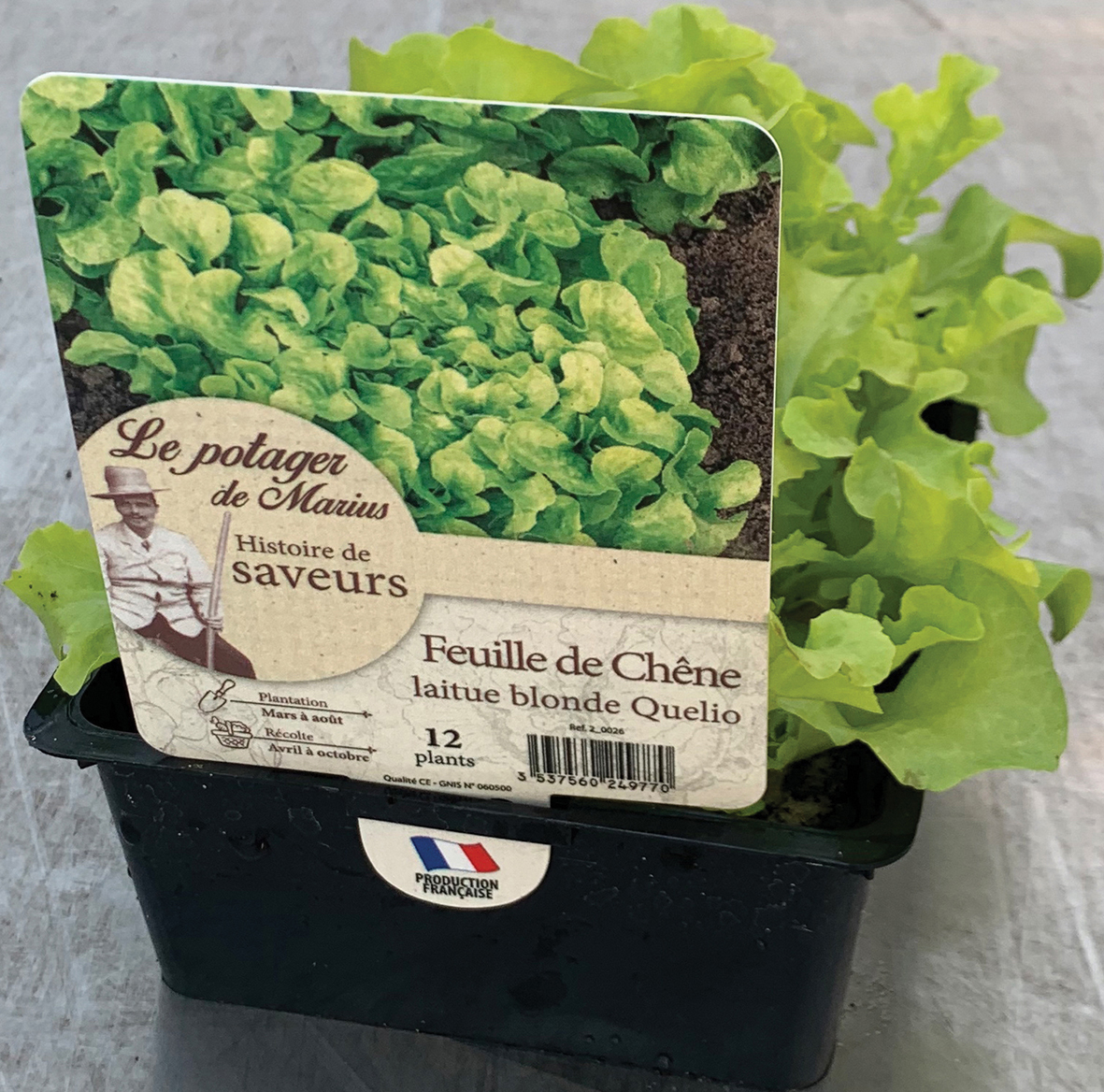 SALADE