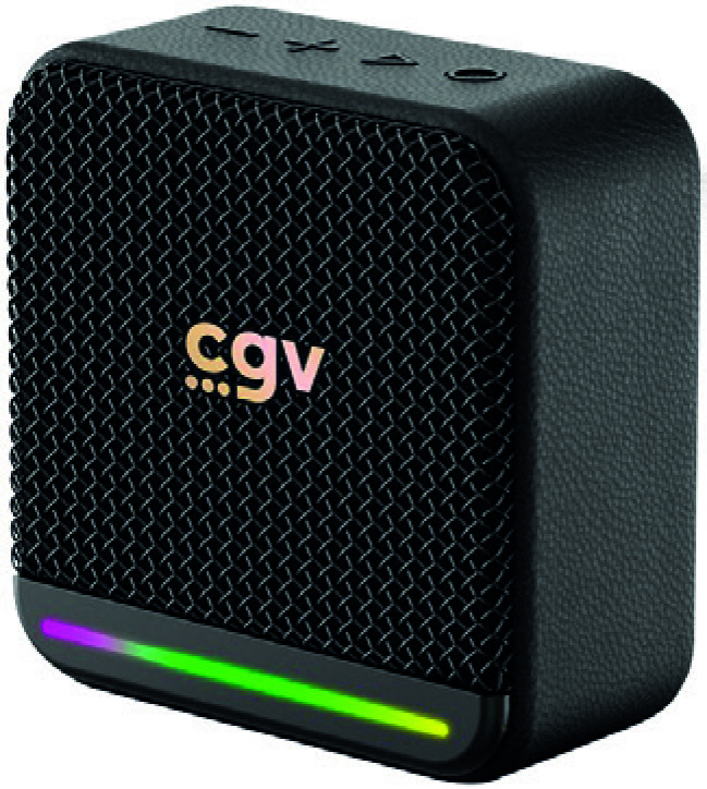 ENCEINTE SOLIDVIBE MINI