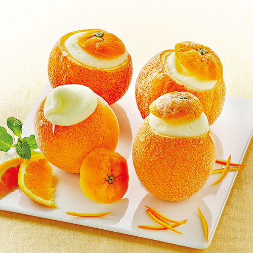 ORANGES OU CITRONS GIVRÉS SURGELÉS