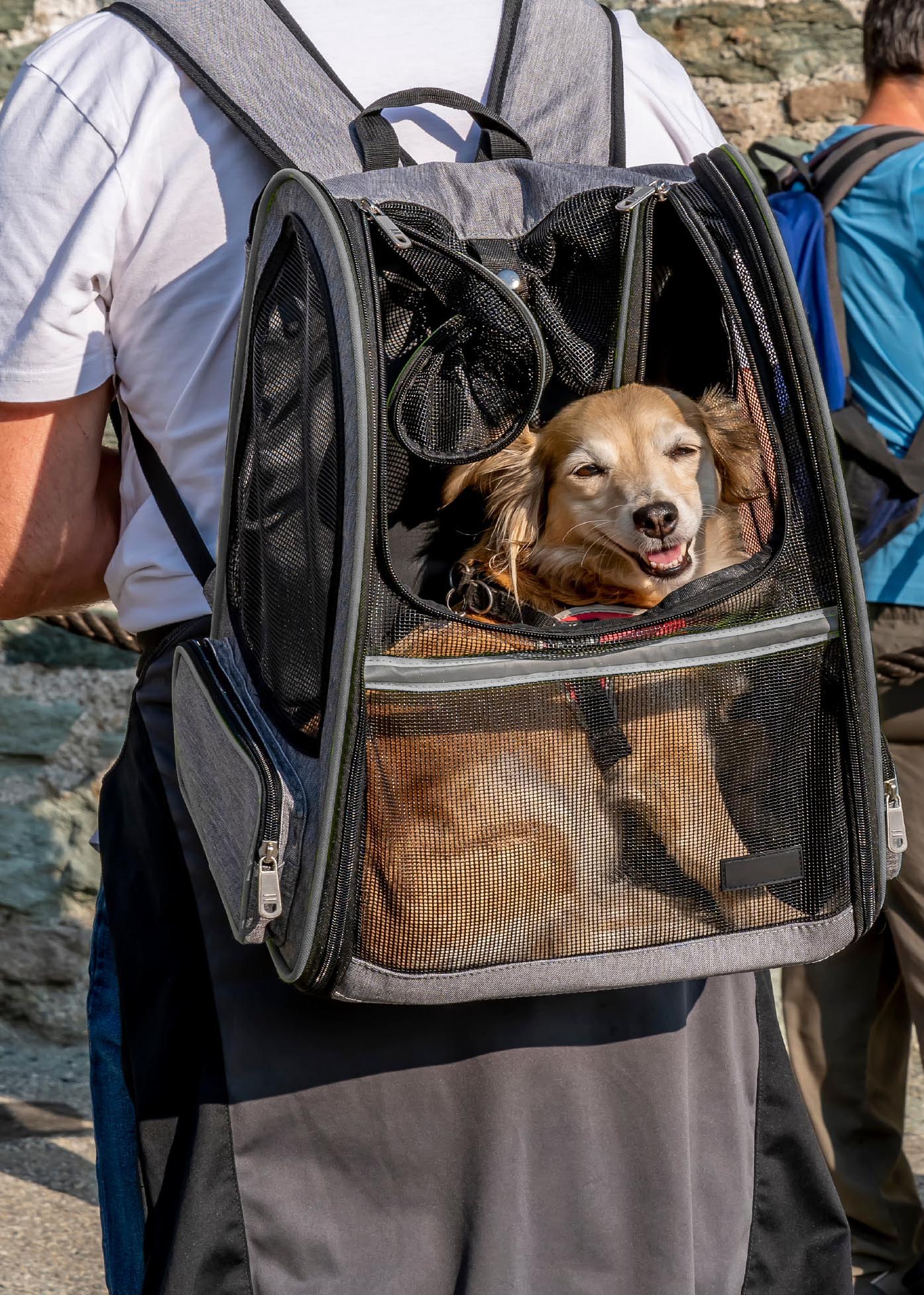 SAC À DOS DE TRANSPORT
EXTENSIBLE POUR ANIMAUX