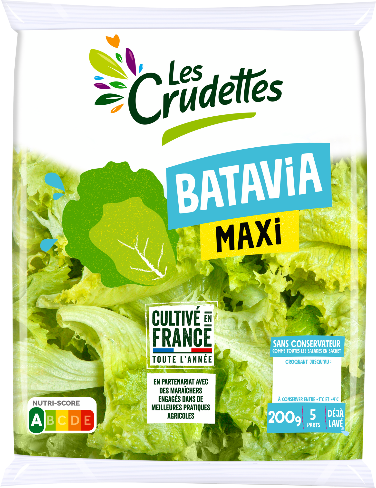 Batavia maxi