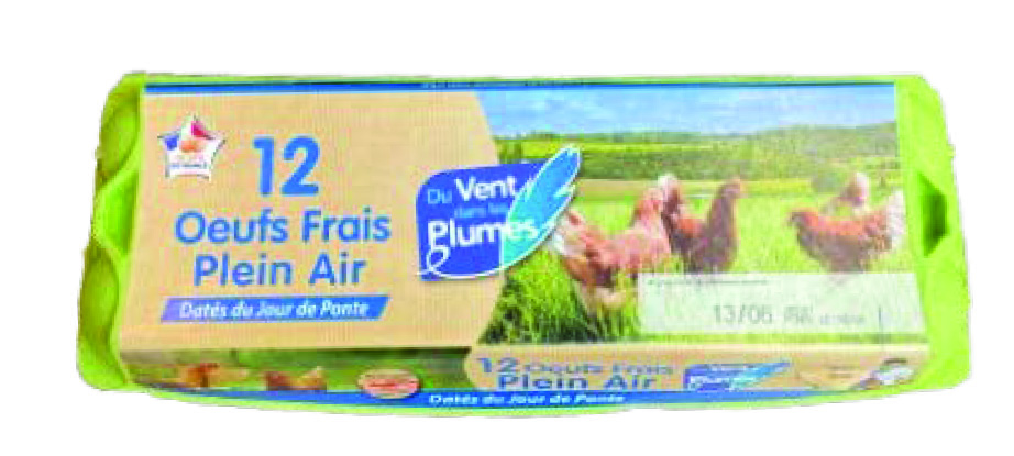 12 OEUFS PLEIN AIR