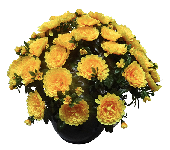 Potée PAMPLONE (Pomponettes)