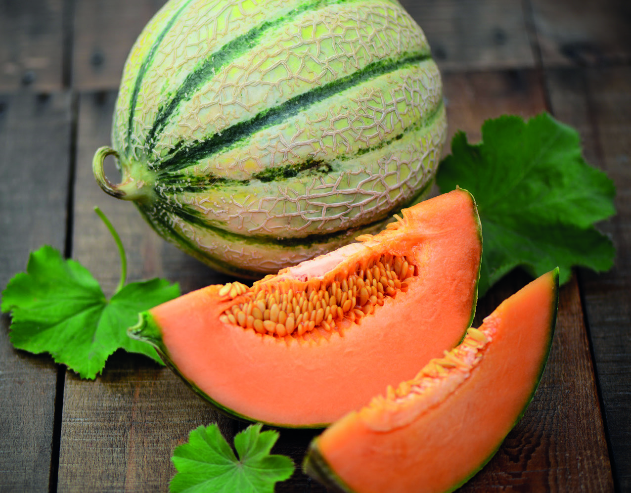 MELON CHARENTAIS TARTE AUX POMMES