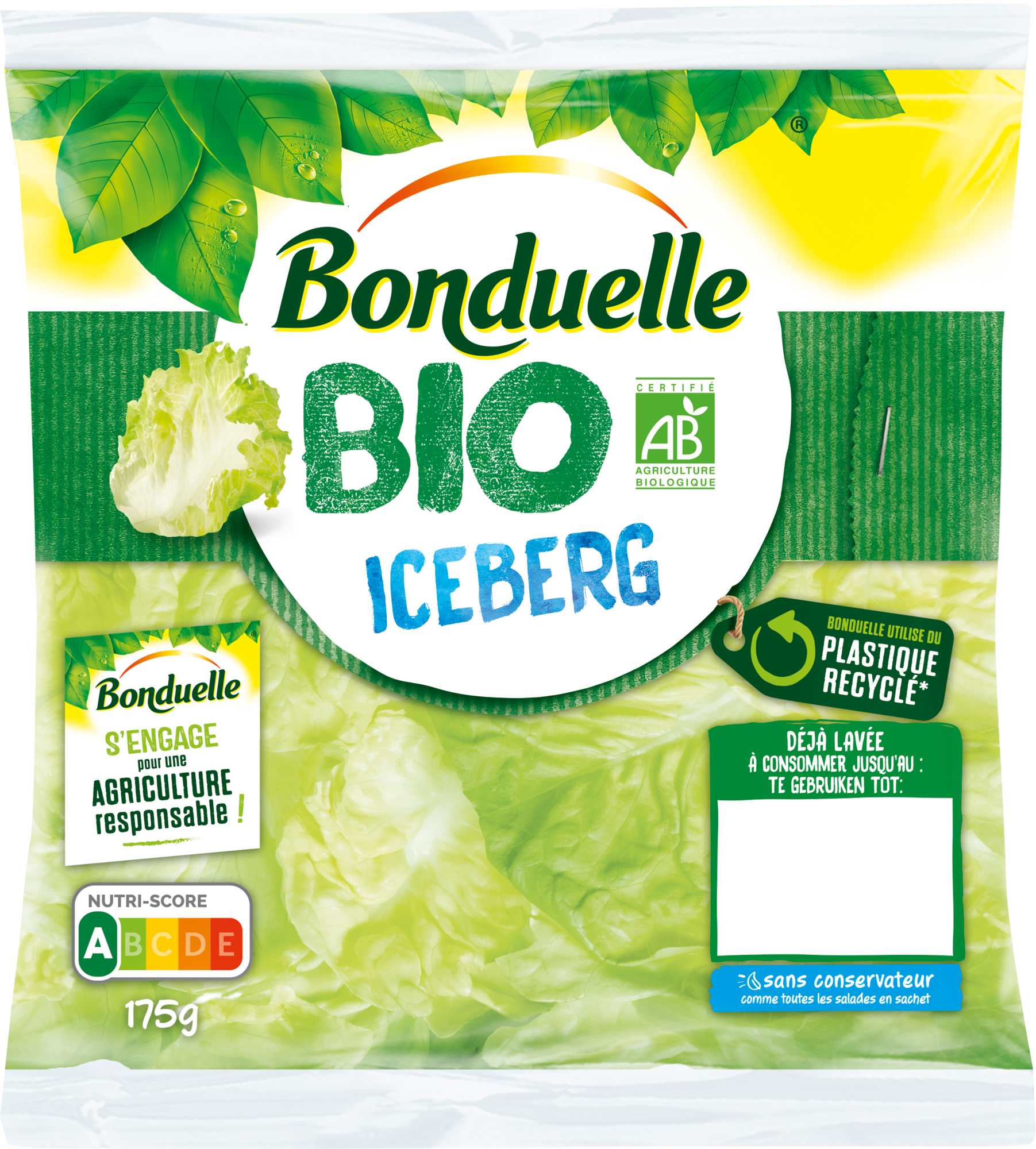 Iceberg bio