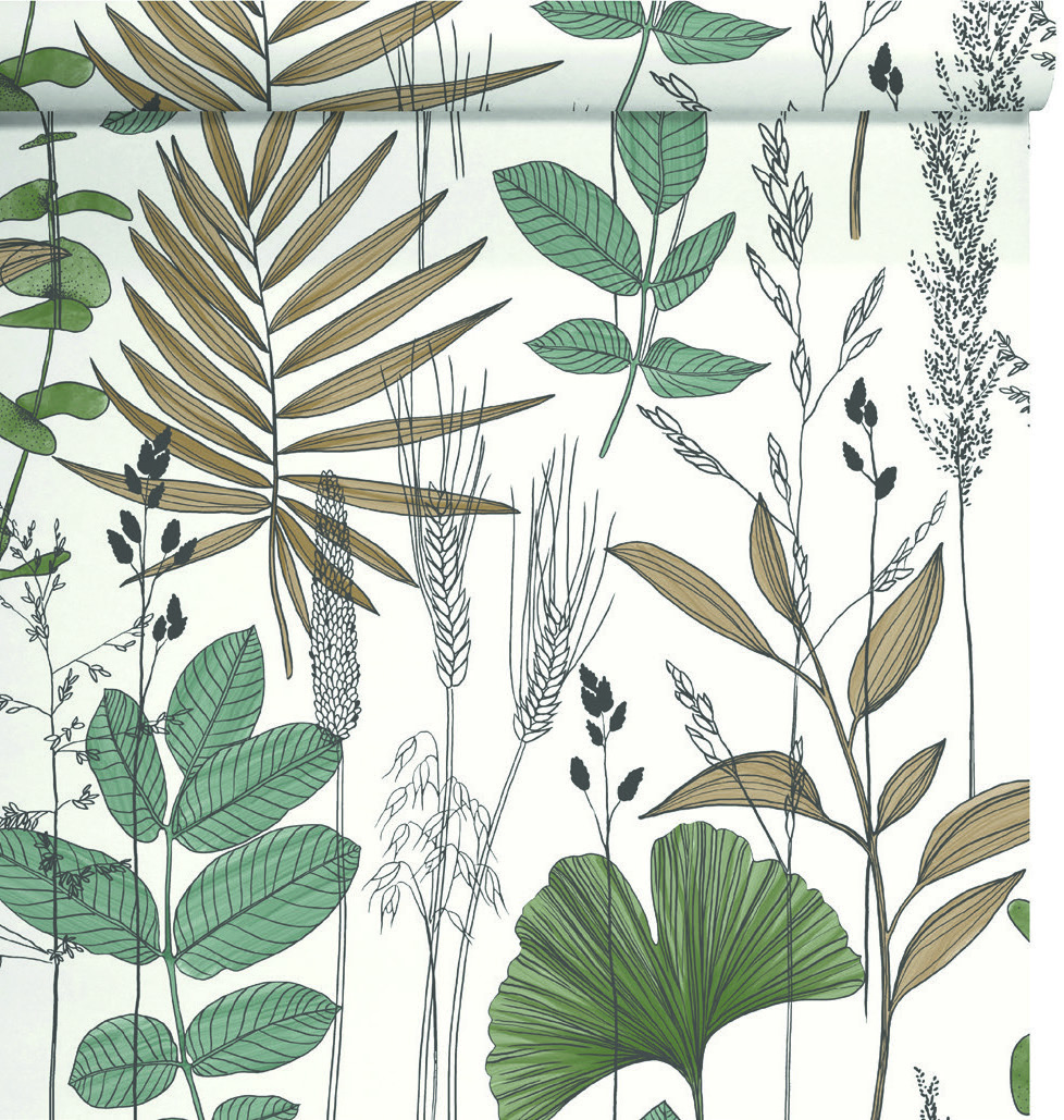 GRAMINÉE EXOTIQUE VERT ET MARRON