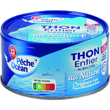 THON ALBACORE NATURE PÊCHE OCÉAN