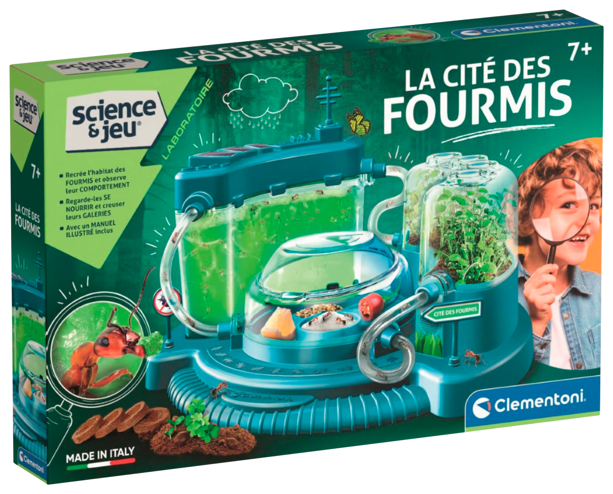 LA CITÉ DES FOURMIS