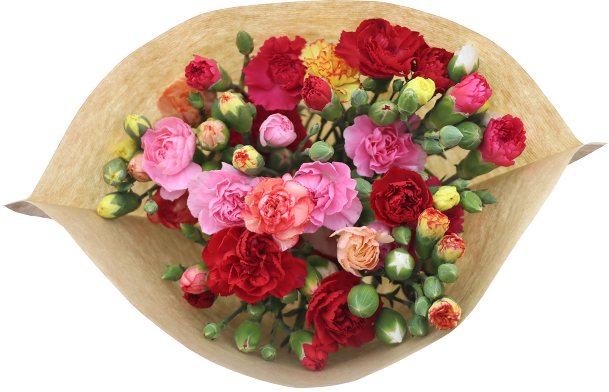 Bouquet de 15 mini œillets arlequin