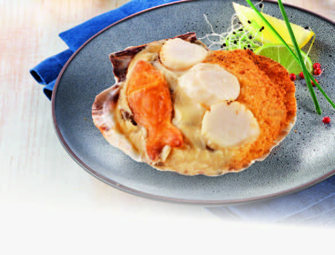 COQUILLE SAINT-JACQUES*