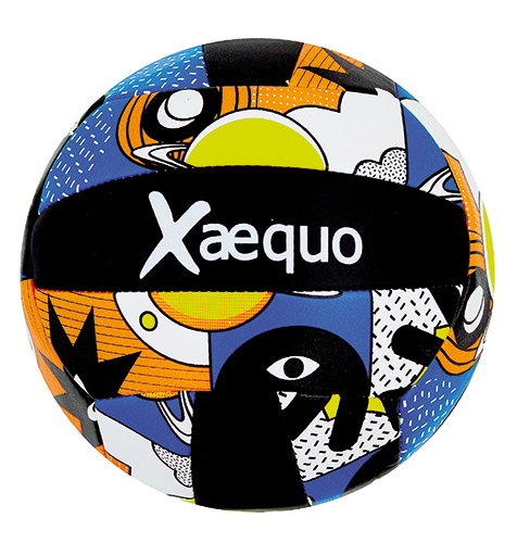BALLON DE BEACH VOLLEY