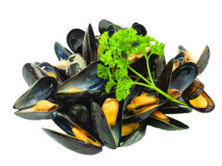 MOULES DE BOUCHOT