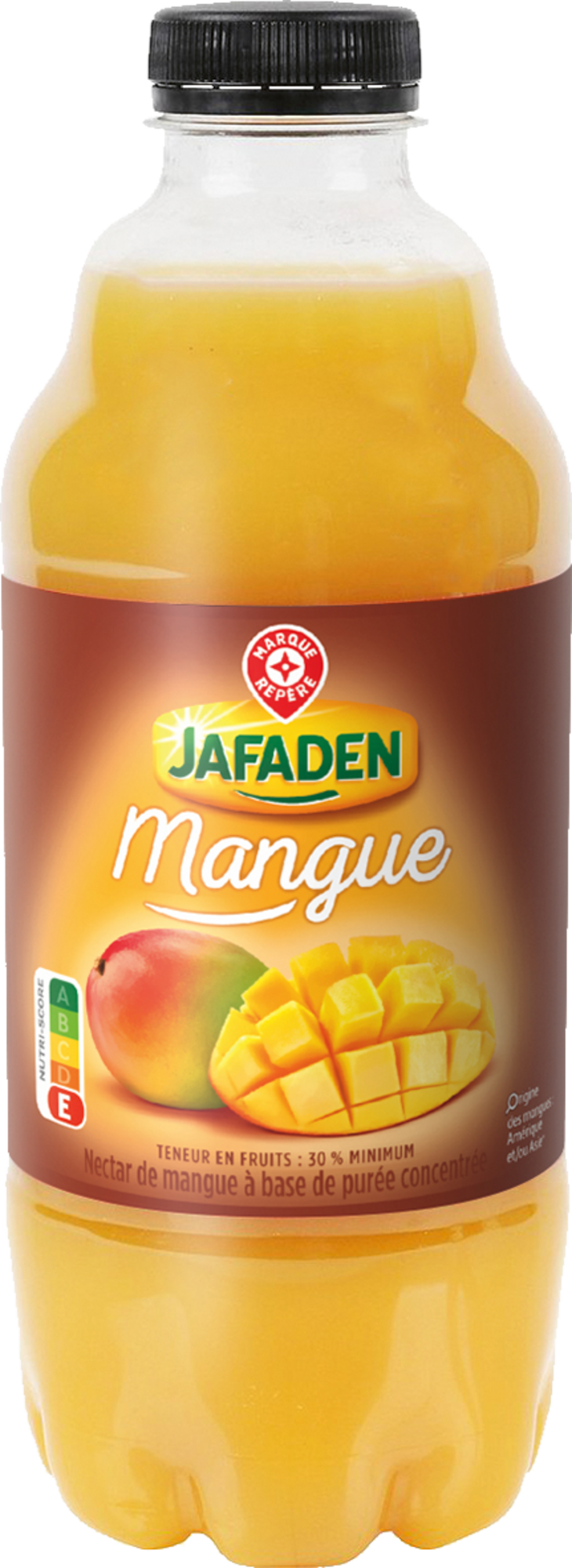 NECTAR DE MANGUE