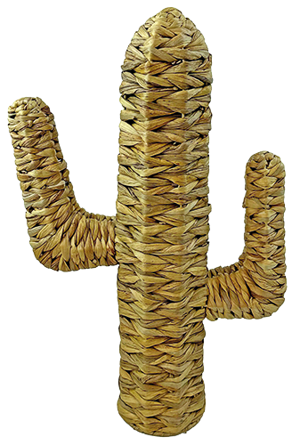 CACTUS DÉCO