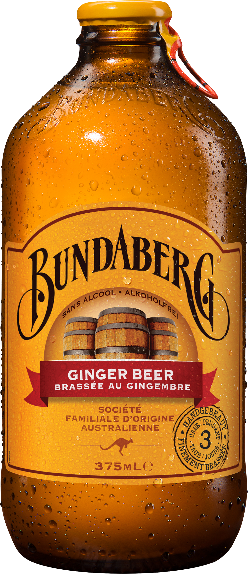 BIERE SANS ALCOOL GINGER BEER