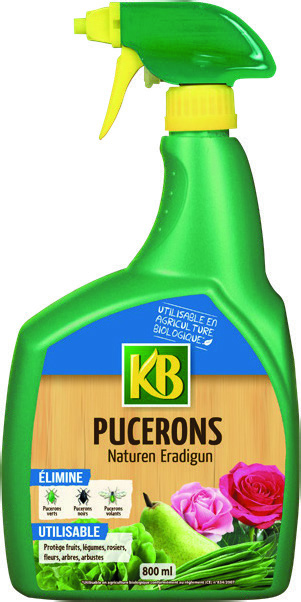 PUCERONS (1)(2)(3)