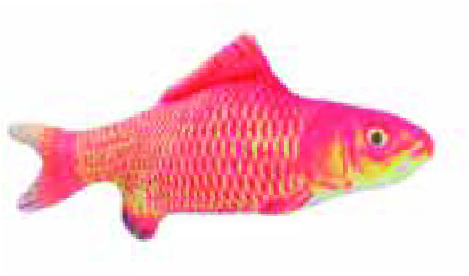 JOUET CHAT POISSON