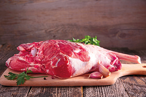 GIGOT