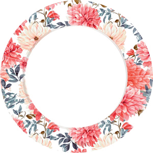 8 ASSIETTES EN CARTON HARMONY