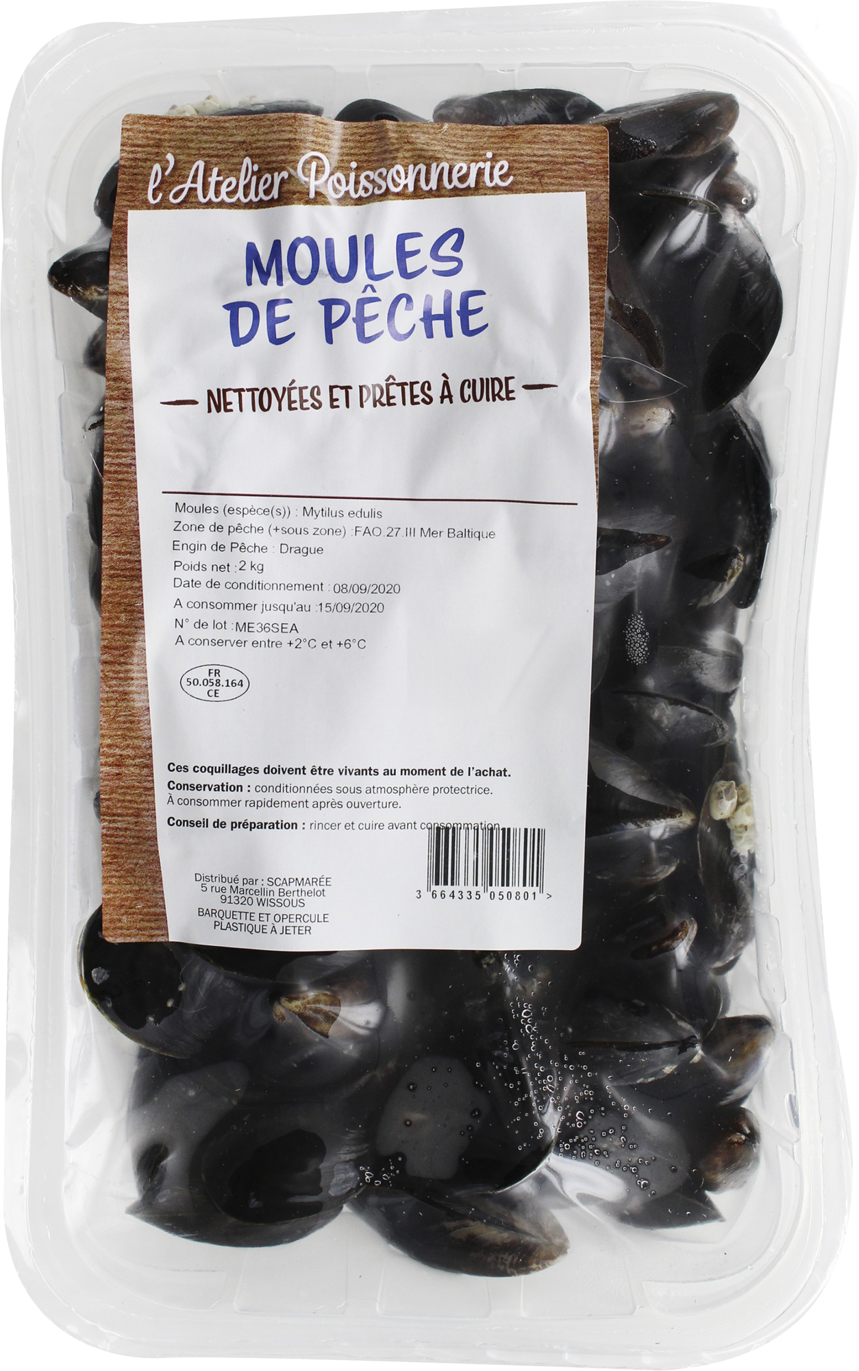 MOULES (MYTILUS EDULIS) DE PÊCHE NETTOYÉES ET PRÊTES À CUIRE
