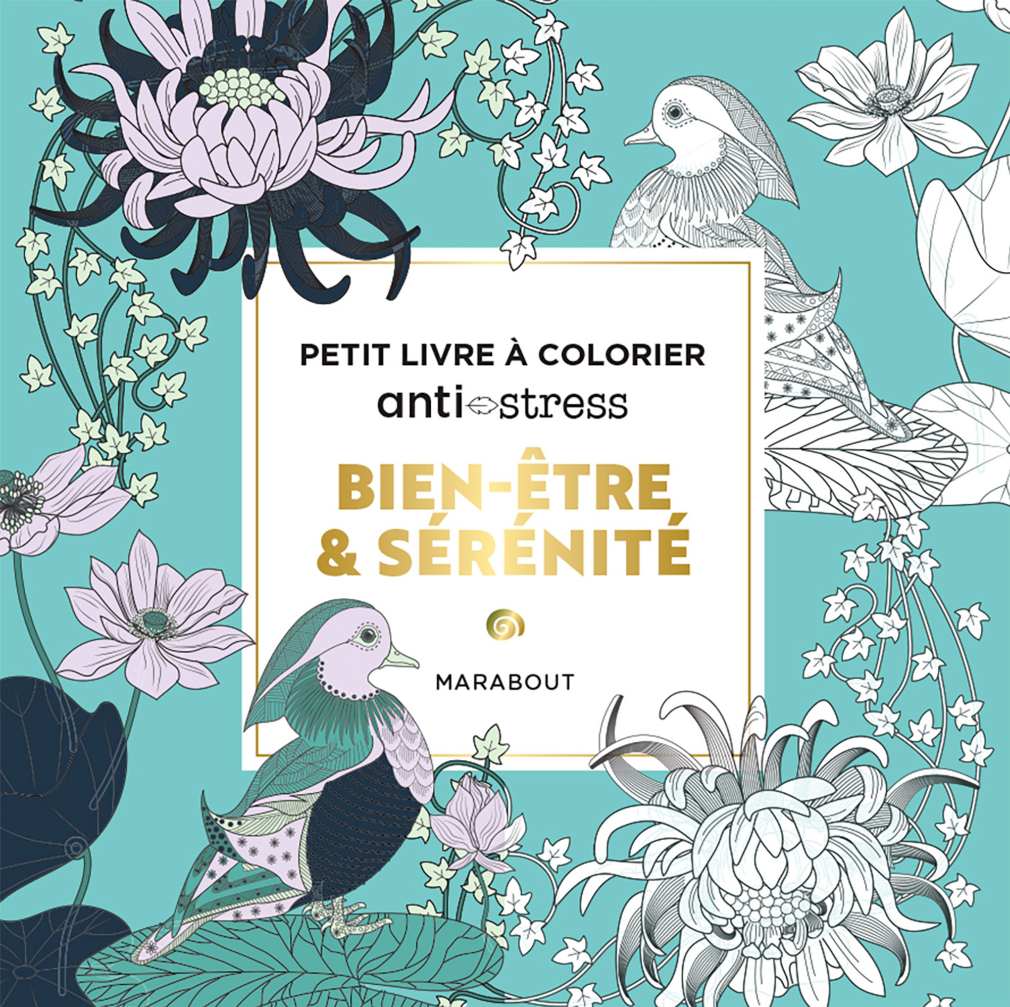 OPÉRATION COLORIAGES ADULTES