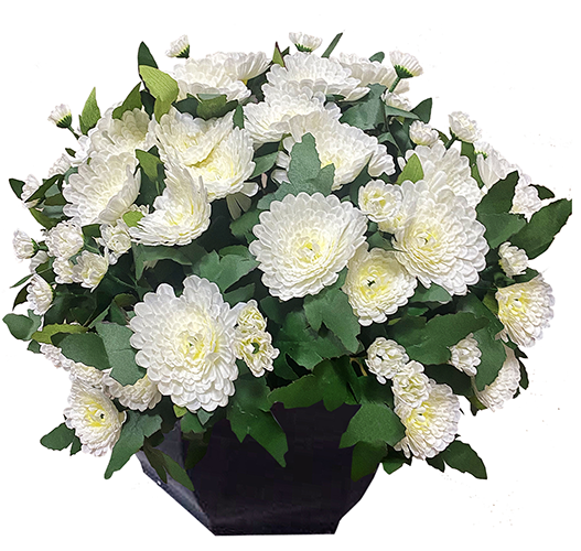 Coupe POMPADOUR
(Pomponette)