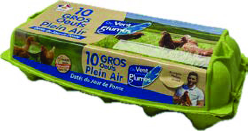 10 OEUFS DE PLEIN AIR
