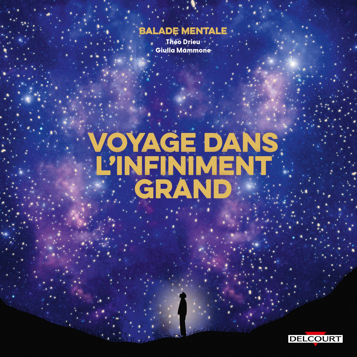 VOYAGE DANS L'INFINIMENT GRAND