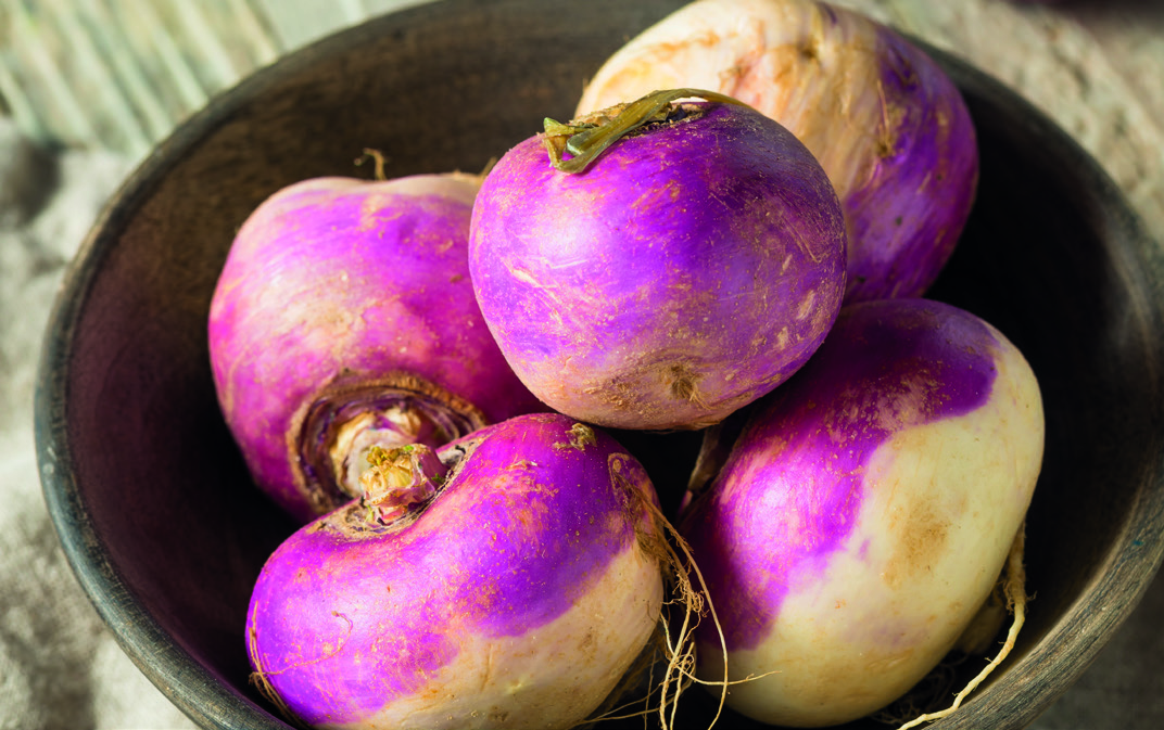 NAVET VIOLET