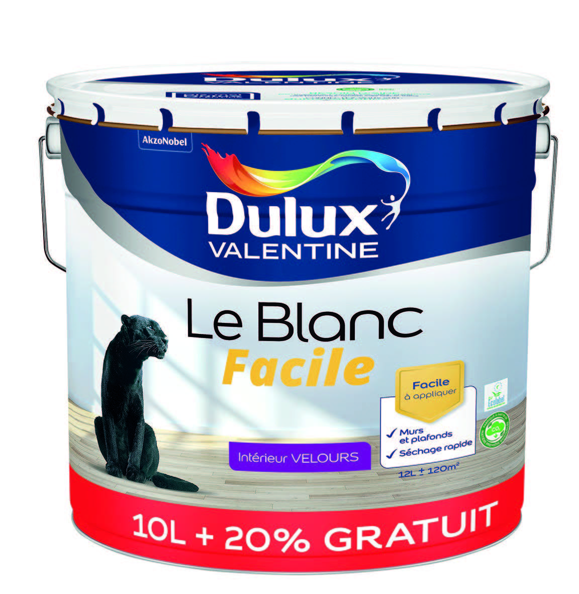 PEINTURE BLANC VELOURS