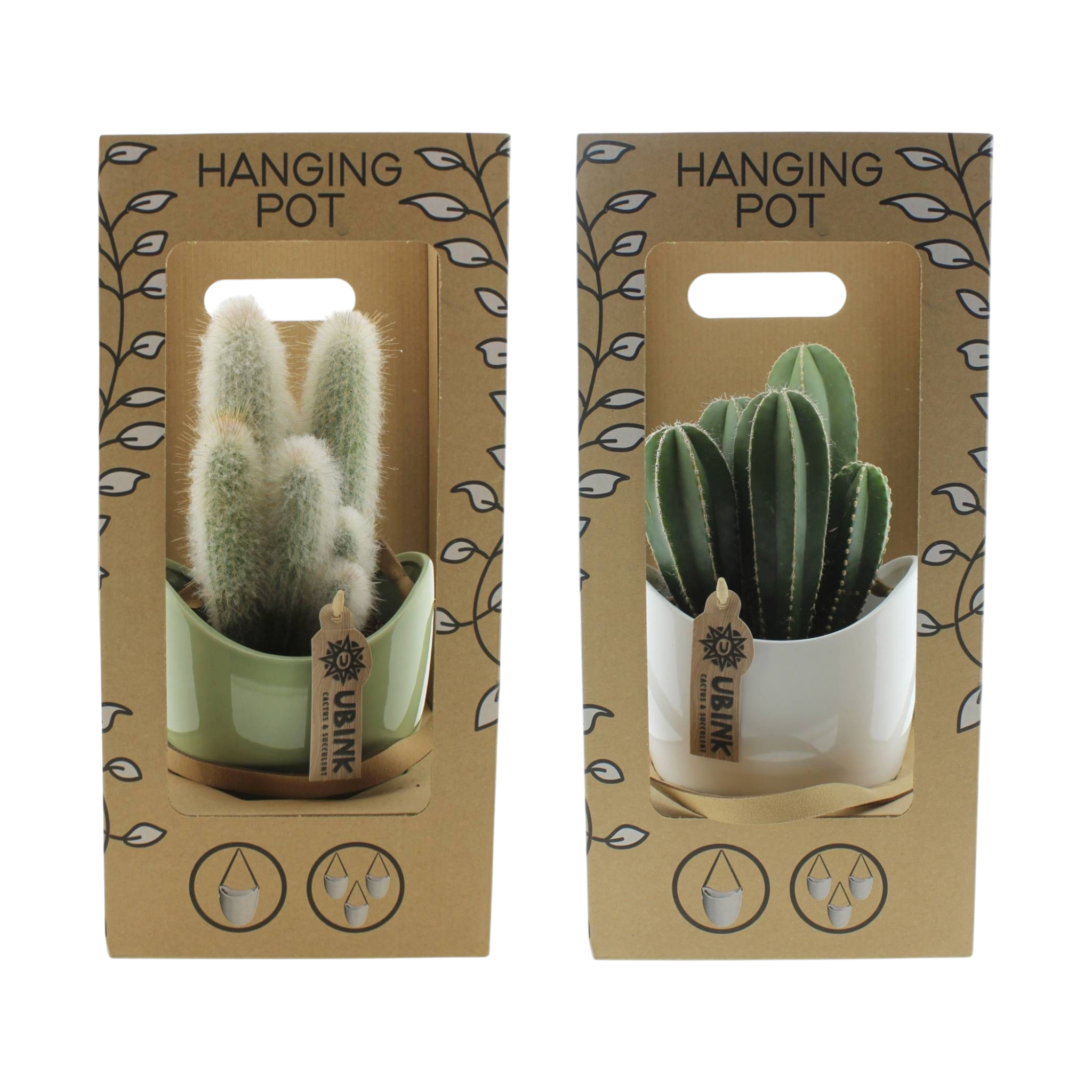 CACTUS DANS POT EN CÉRAMIQUE SUSPENDU