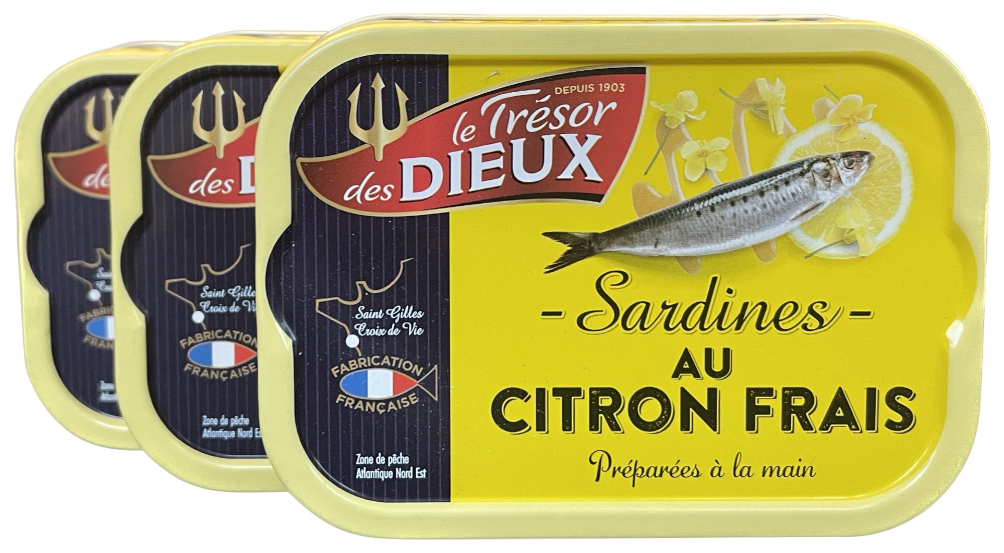 SARDINES