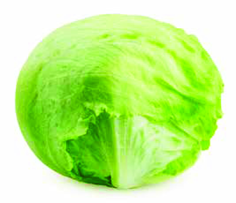 LAITUE ICEBERG