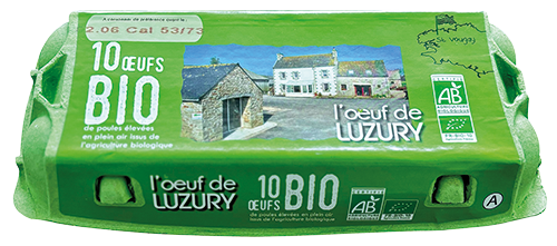 10 ŒUFS BIO