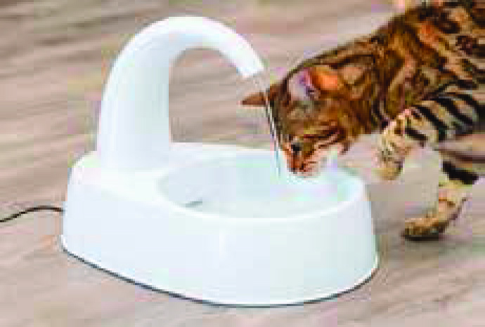 FONTAINE À EAU POUR CHAT