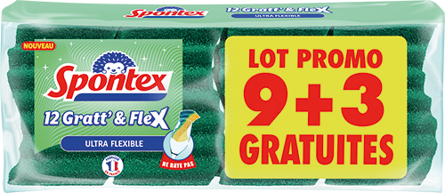 ÉPONGES GRATT’ & FLEX