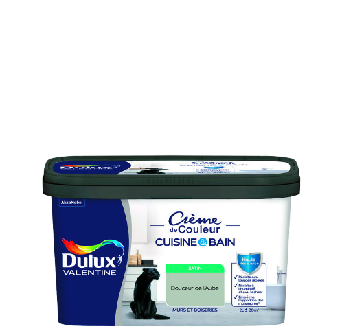PEINTURE CRÈME DE COULEUR CUISINE ET BAIN(1)