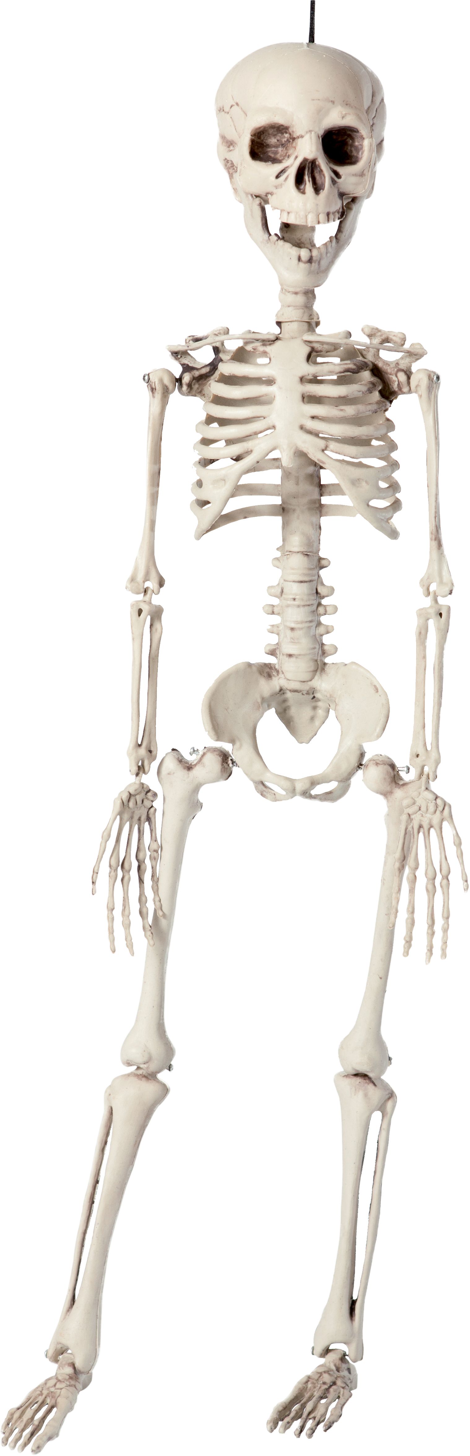 SQUELETTE À SUSPENDRE