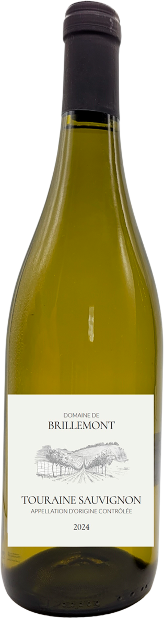 AOP TOURAINE BLANC SEC - DOMAINE DE BRILLEMONT 2024
