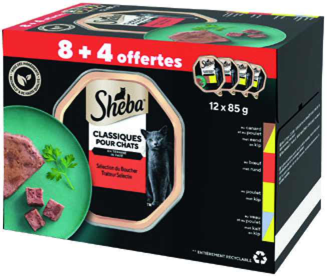 TERRINE POUR CHATS ADULTE