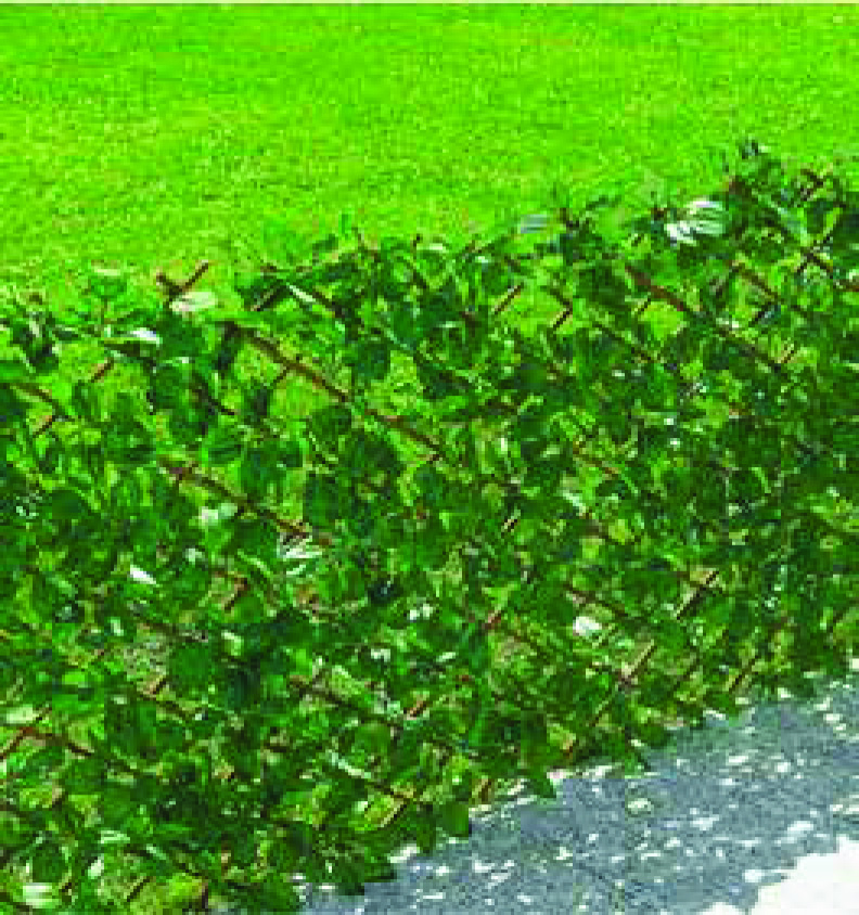 TREILLIS EXTENSIBLE LAURIER