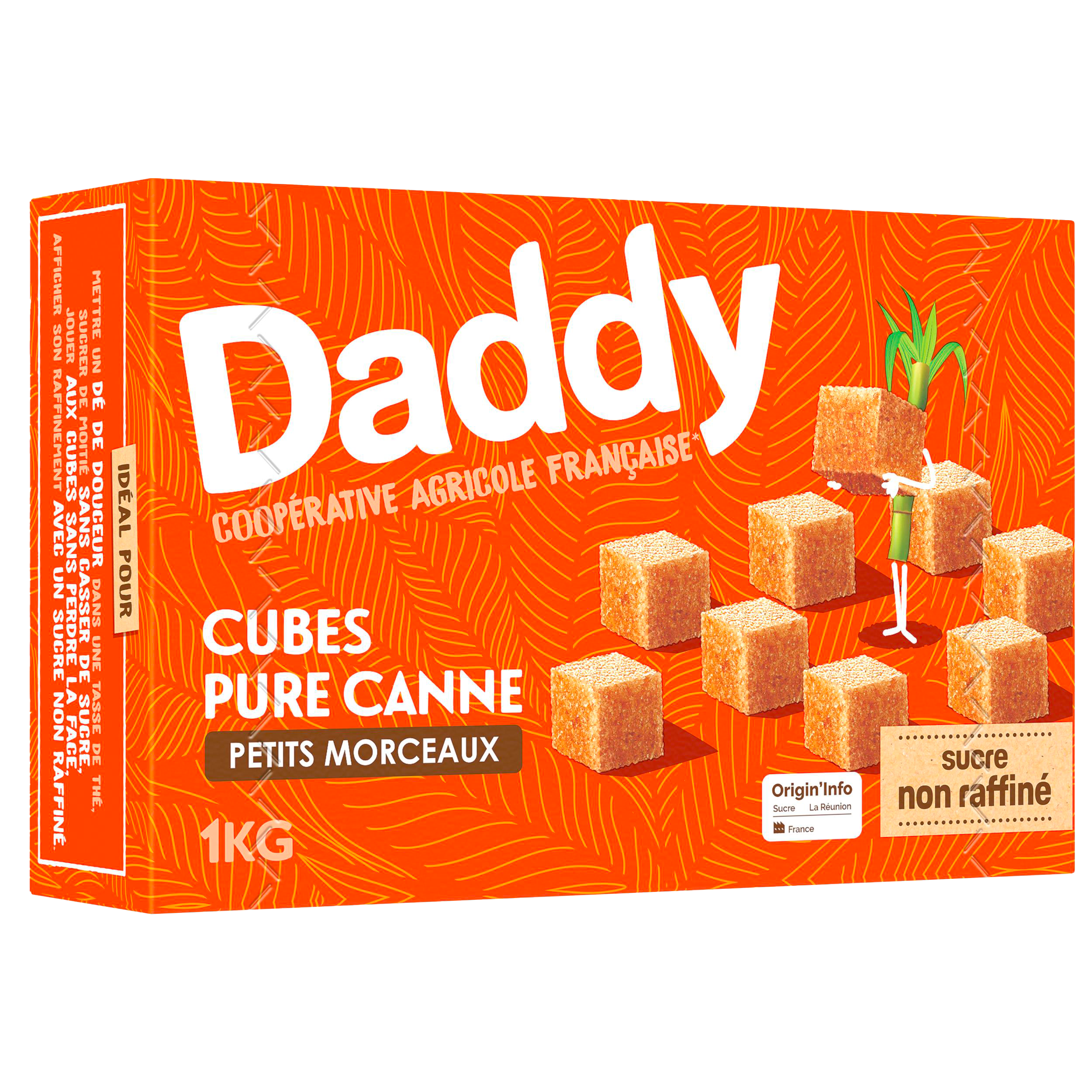 PETITS MORCEAUX DE SUCRE CUBES PURE CANNE