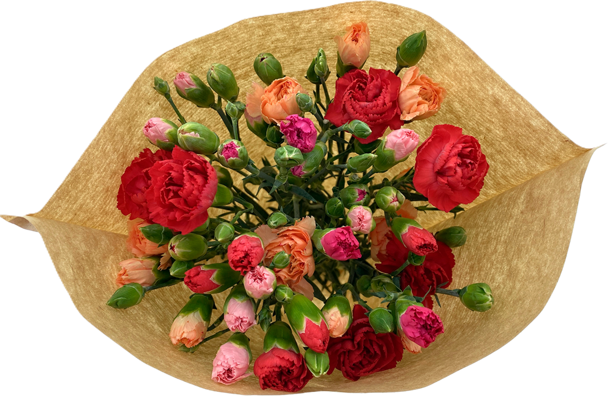 Bouquet de 15 mini œillets Arlequin