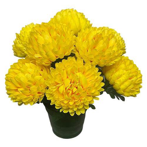 Pot MUM
(Chrysanthèmes)