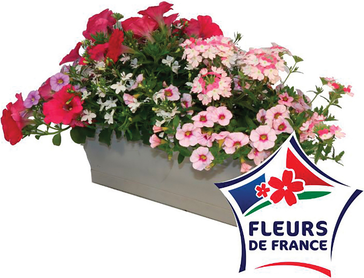 MÉLANGE VARIÉTÉS À THÈME